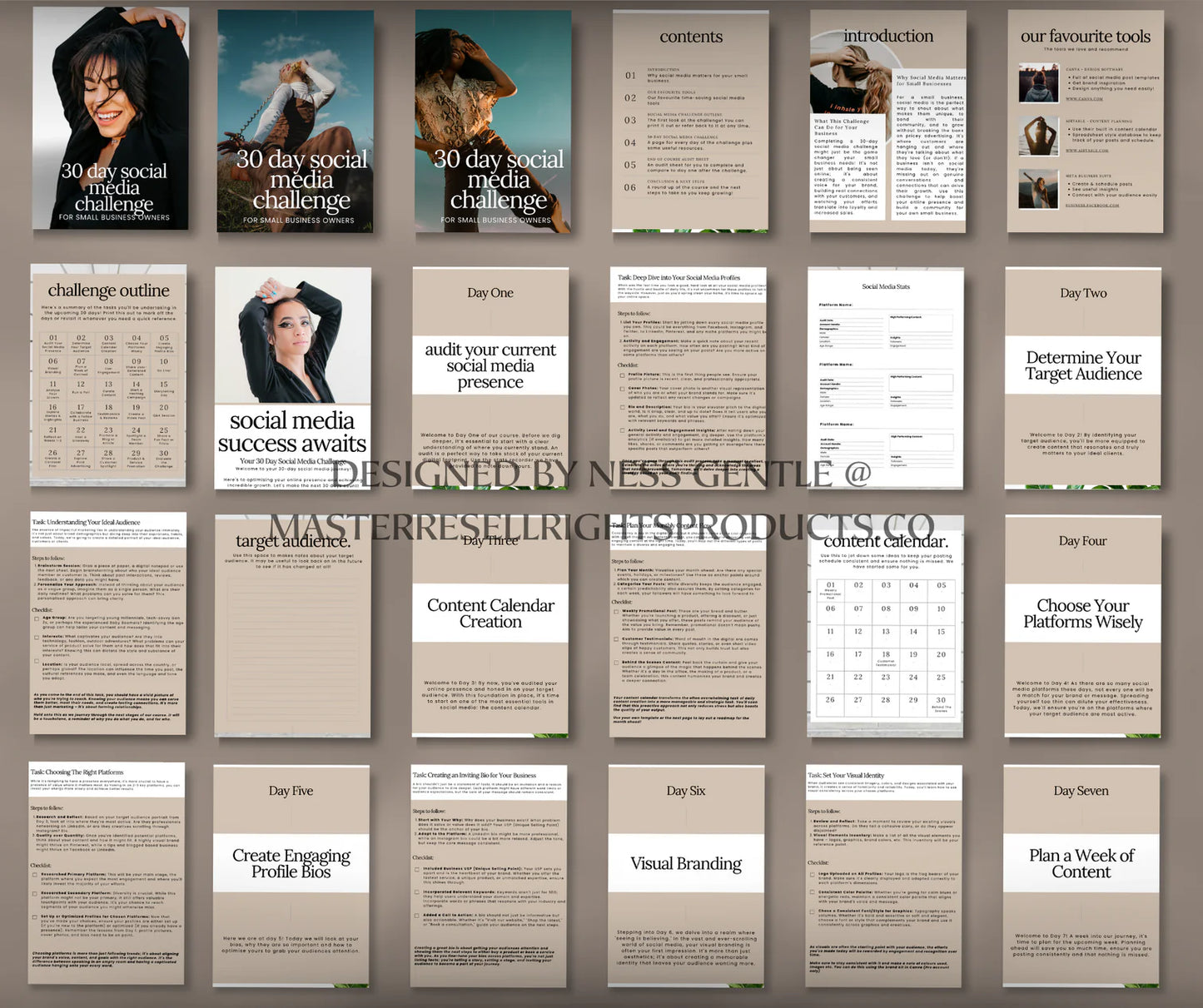 Master Resell Rights Starter Bundle