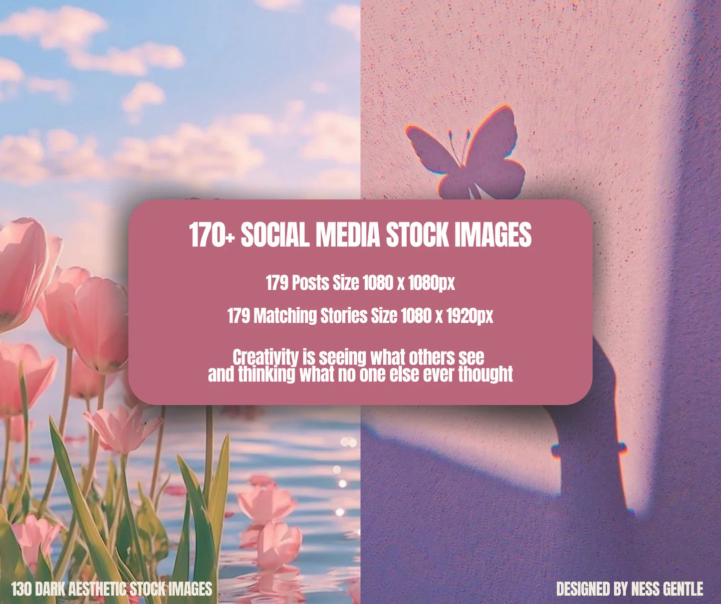170+ Pink Boho Aesthetic Social Media Stock Images